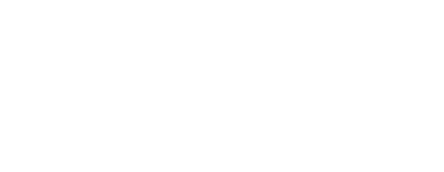 ACE brand logo